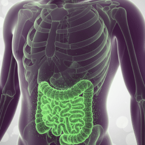 MRI Vascular & Small Intestine Scan